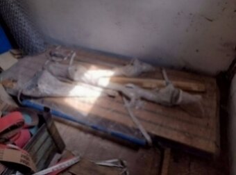 Bruska pásová PBM 20, 2014 - 10