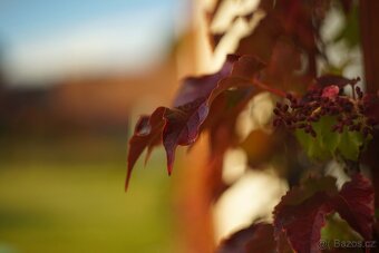 Objektiv Helios 44M-4 (závit M42) - 10