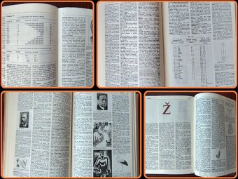 Antikv. sbírka životopisů "Kdo je"...(+mn.slevy) - 10