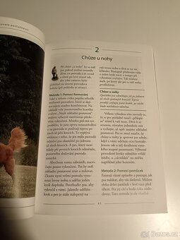 Výcvik psa k dokonalé poslušnosti - 10