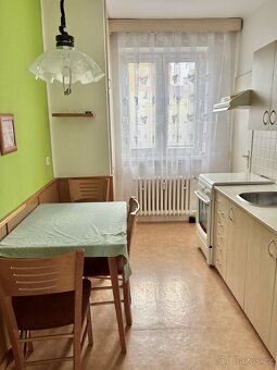 3+1  Opava- klidná ulice, 300m od centra, parkování ve dvoře - 10