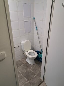 Pronájem bytu 1+kk • 44 m², Ostromečská 436/7, Praha 3 - 10