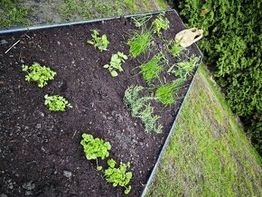 Vyvýšený záhon - 10