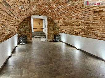 Prodej vinného sklepa v Domaníně - 10