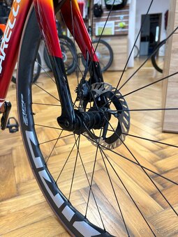Prodám Pinarello Dogma F - Nabula Sun - 10