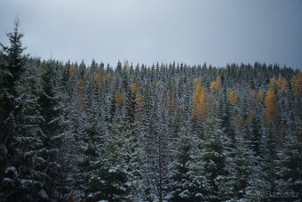 Objektiv Helios 44M-4 (M42) - 10