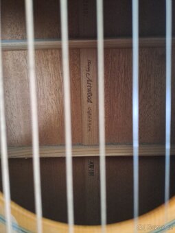 Gitara Ibanez AW 200 - s podpisom Honza Nedved - 10