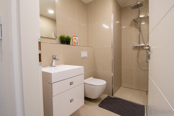 krásný byt 2+KK, 45m2 v ul. Perucká, Praha 2 - Vinohrady - 10