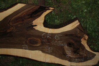 XXL ořechové fošny až 130 cm široké - 10