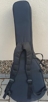 Prodej kytary CORT GOLD D8 LB - 10