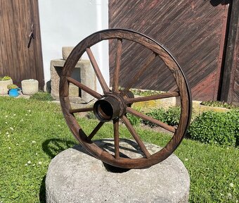LOUKOŤOVÉ KOLO 59cm - 10