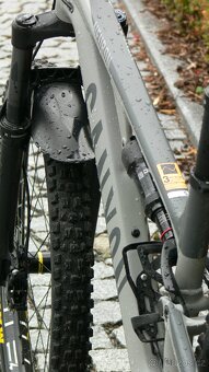 Canyon neuron 5 - 10