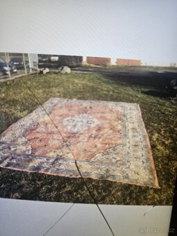 2x postel halabala, 2x židle Philippe, koberec ,květináč - 10