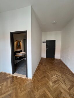 Pronájem bytu 3+kk, Plzeň-Bory - 10