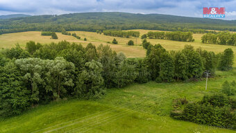 Prodej louky, 4178 m², Dětřichov - 10