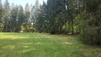 Prodej louky o celkové výměře 23 943 m2 nedaleko Frýdavy - 10