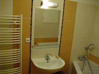 1+kk Brno-Bohunice, ul. Čeňka Růžičky, S TERASOU - 10
