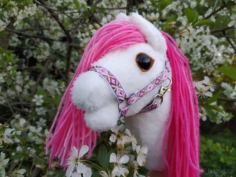 Hobby horse - 10