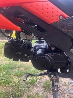 Pitbike xmotos 140 - 10