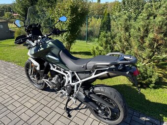Triumph Tiger 900 Rally 1.maj. 18tKm - 10
