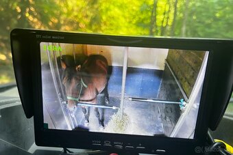 Pronájem autopřepravníku pro dva koně s kamerou na řp. sk. B - 10