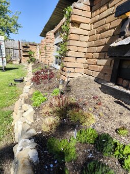 Prodám netřesky, okr. Znojmo - 10