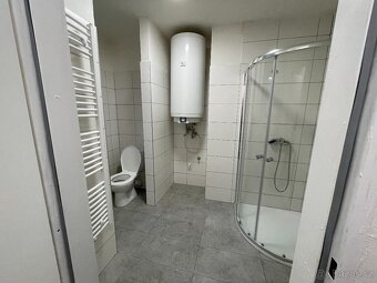 Pronájem bytu 2+1 Prachovice - 10