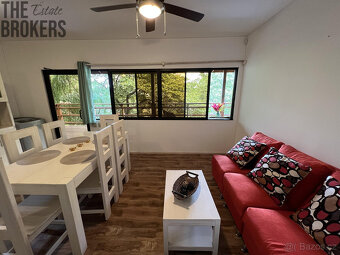 2BD&2BT Bungalow Diamond Hill Resort, Roatan - 10