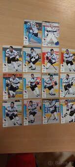 Hokejové kartičky EBEL 13/14 - 10