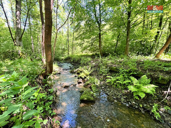 Prodej vodní plochy, 3255 m², Skalice u České Lípy - 10
