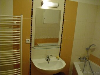 1+kk Brno-Bohunice, ul. Čeňka Růžičky, S TERASOU - 10