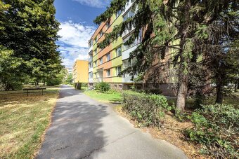 Pronájem, byt 2+1, 60 m2, Chomutov, ul. Vítězslava Nezvala, - 10