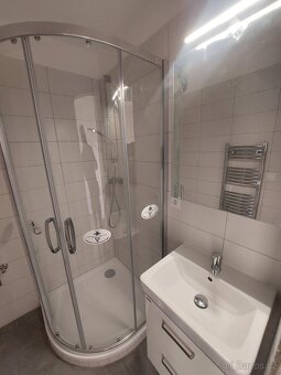 Dlouhodobý pronájem nově zrekonstruovaného bytu 2+1, + sklep - 10