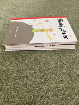 Malý princ obrazová kniha - 10