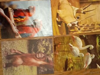 Staré pohlednice 1800ks - 10