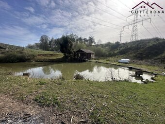 Prodej pozemků se dvěma rybníky, 15 233 m2 - Hradec u Stoda - 10