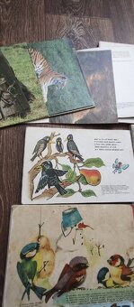 Knížky dětské - 10