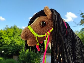 Hobby horse - 10