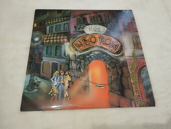 LP Vinyl od 80 Kč - 10