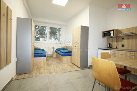 Pronájem ubytovacího zařízení, 300 m², Dalovice, Botanická - 10