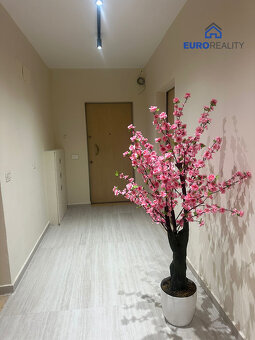 Prodej, byt 2+kk, 90 m2, Durrës-Plazh, Albánie - 10
