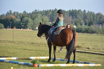 Ustájení Třeboňsko - 10
