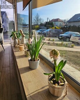 Pronájem obchodního prostoru 99 m², Úvaly - 10