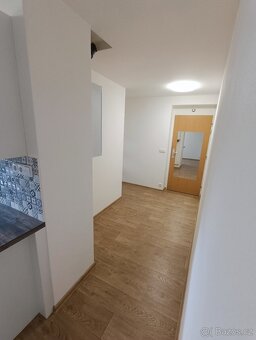 Pronájem bytu 2+1 (50m2) v Mostě na Zahražanech - 10
