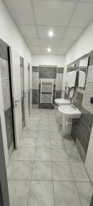 Pronájem komerčních prostor v centru Třešťě - 10