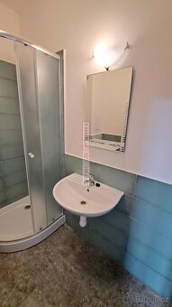 Byt po rekonstrukci s parkovacím stáním a sklepem - 10