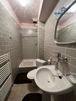 Prodej, rodinný dům, 464 m2, Velká Hleďsebe - 10