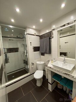 Pronájem bytu Střekov 2+1 - 10