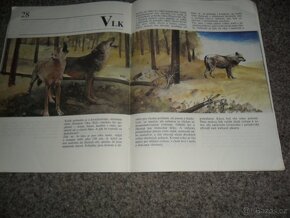 příroda - Zoologická zahrada, Ráj zvířat, Naše houby, různé - 10