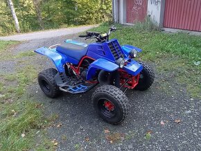 Yamaha Banshee 350 - 10